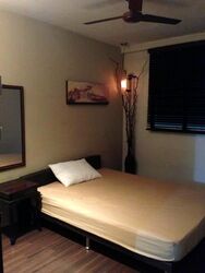 Blk 176 Bishan Street 13 (Bishan), HDB 3 Rooms #583413241